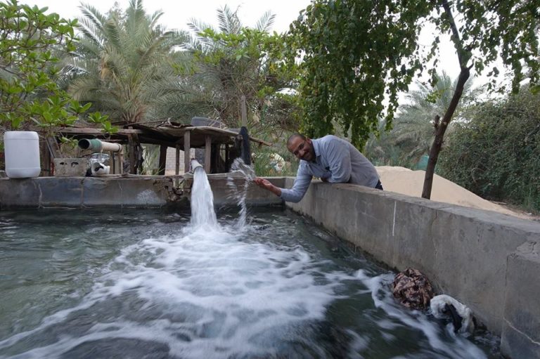 معظم ماء الأرض العذب موجود في الحالة